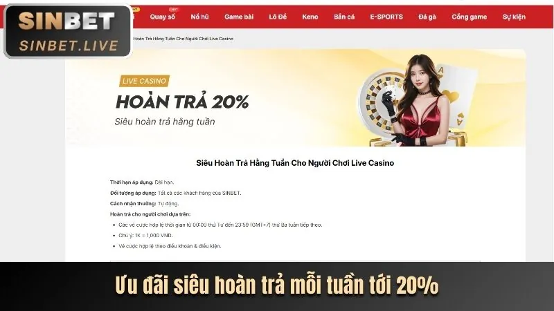 Tổng quan các chương trình khuyến mãi gacam 67